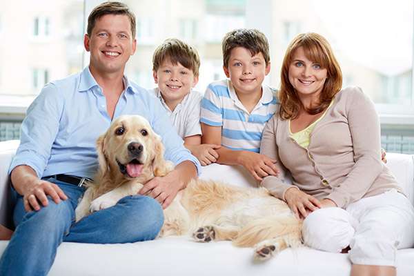 Why Choose One Family Dentist for Everyone in Your Family from Smiles Dental Spa in Tracy, CA